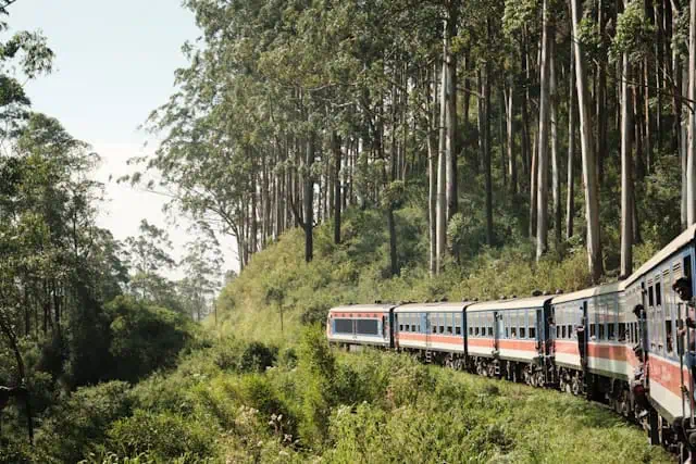 Top 10 Things to Do in Kandy, Sri Lanka: Your Ultimate Guide Kandy To Nuwara Eliya Train Ride - Things To Do In Kandy