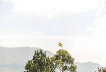Ella rock - 5 Best Hiking Trails In Sri Lanka
