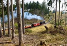 Harz Narrow Gauge -Best Train Journeys In The World