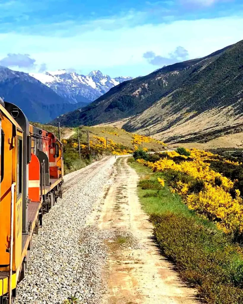 30 Best Train Journeys In The World TranzAlpine - Best Train Journeys In The World