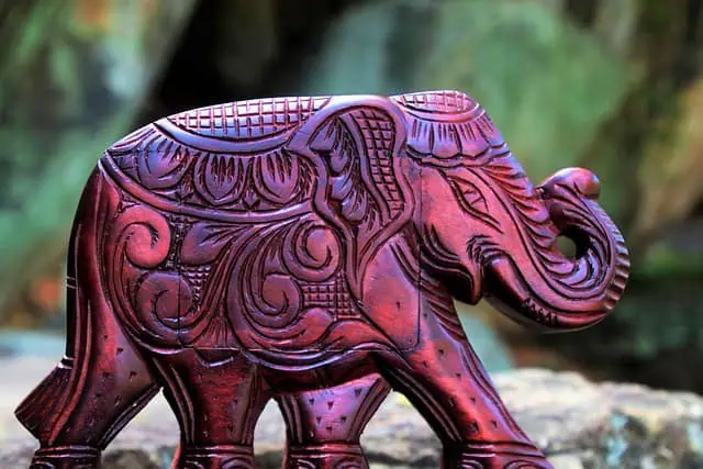 Difference Between Asian Elephant Vs African Elephant elephant's Craft
