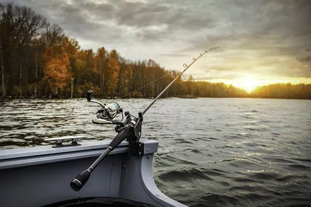 Exciting 10 Things To Do In Somerset Kentucky fishing-Things To Do In Somerset